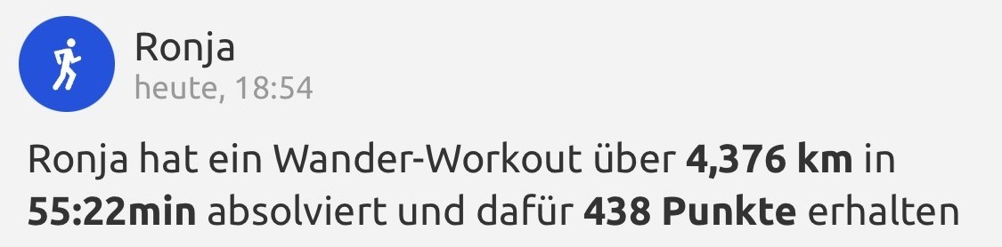 TeamfitTeams/DieRuedigen/Workout007.jpg